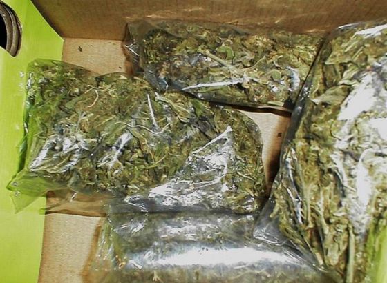 Hrvat uhićen s 20 kilograma marihuane na izlazu iz Srbije