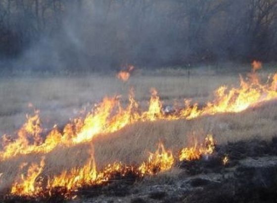 Upozorenje iz Općine Kakanj: Novčane kazne za nekontrolisano spaljivanje suhe trave i korova