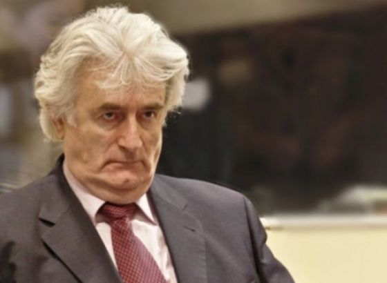 Žalbeni pretres u predmetu Karadžić