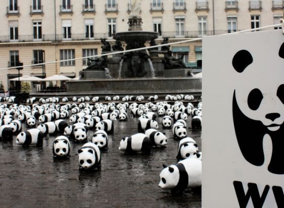 Iz WWF-a upozoravaju na važnost očuvanja parkova i zaštićenih područja