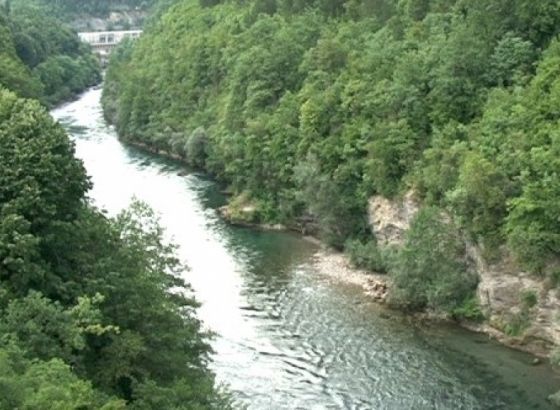 Cigelj: Obezbijediti finansijska sredstva za zaštitu i unapređenje šuma