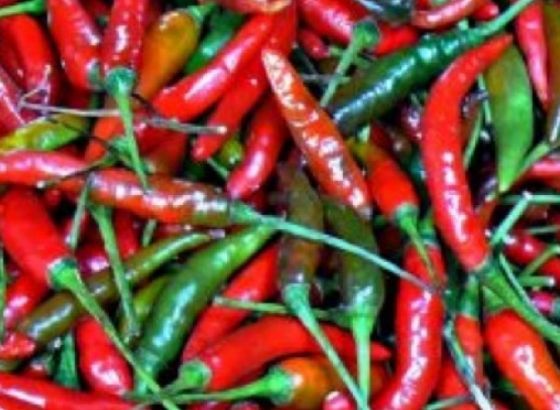 Šampion: Kinez pojeo 50 tabasko papričica za 68 sekundi