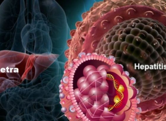 Svjetski dan hepatitisa – svjetski zdravstveni problem