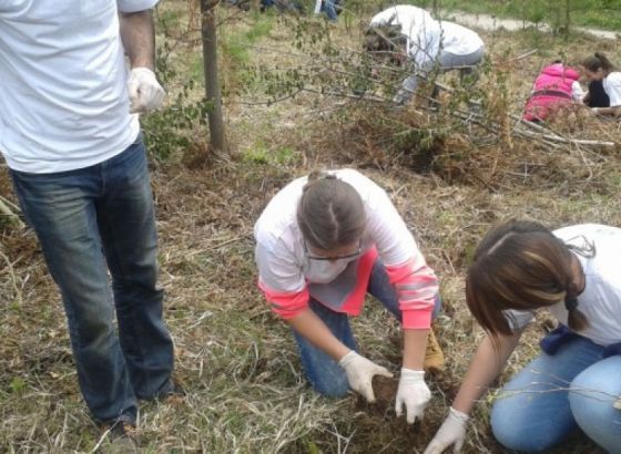 Međunarodni centar za mir organizira akciju pošumljavanja