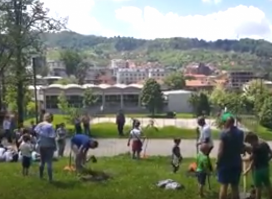 Polaznici škole Helen Doron English Tuzla zasadili 50 sadnica smrče