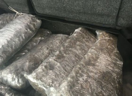 Zaplijenjeno 900 kiliograma droge, uhapšeno pet Crnogoraca