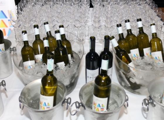 55 zlatnih godina najboljih sorti vinarije 13. Jul Plantaže
