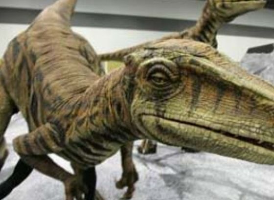 Pronađeni fosili nove vrste dinosaurusa