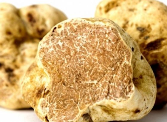 Bijeli tartuf na aukciji prodat za 85.000 eura