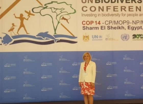 Ministrica Đapo u Egiptu na konferenciji UN-a o biodiverzitetu