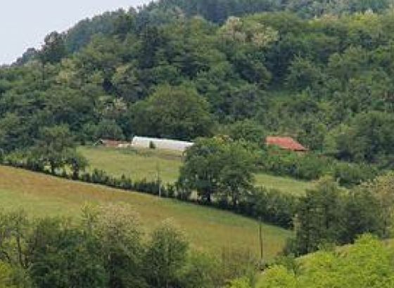 Posušak skrivao šest tona duhana u naselju pored Tomislavgrada