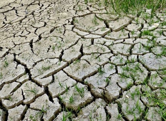 RCC - Jača regionalna saradnja u provedbi ekoloških i klimatskih prioriteta