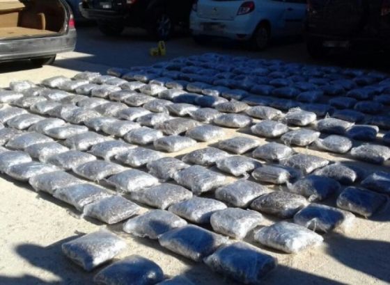 Pripadnici GP BiH zaplijenili oko 200 kilograma skanka kod Bileće
