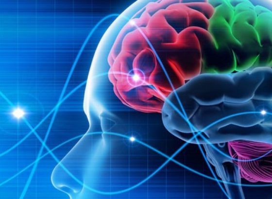 Znanost: Može se umrijeti od gubljenja volje za životom