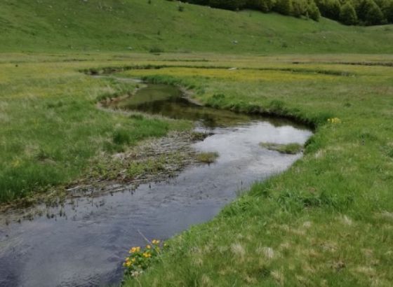 Za zaštitu okoliša utrošeno 95,4 miliona KM, najviše u zaštitu zraka