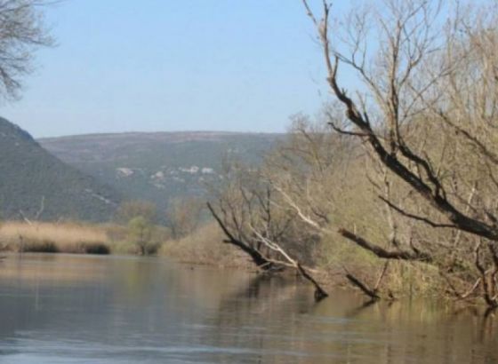 Vlažna staništa prirodno rješenje problema klimatskih promjena