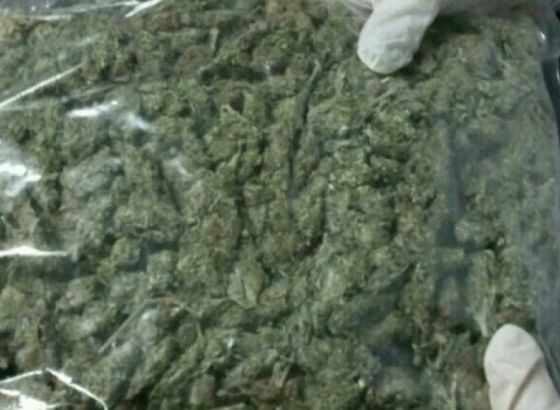 Uhapšeno sedam osoba i oduzeto 5,4 kilograma skanka u akciji policije RS