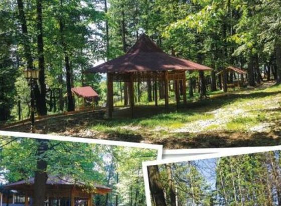 Na proljeće u Starom Gradu otvaranje parka “Gradska šuma”
