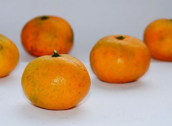 U RS-u zabranjen uvoza mandarina zbog povećanog sadržaja pesticida