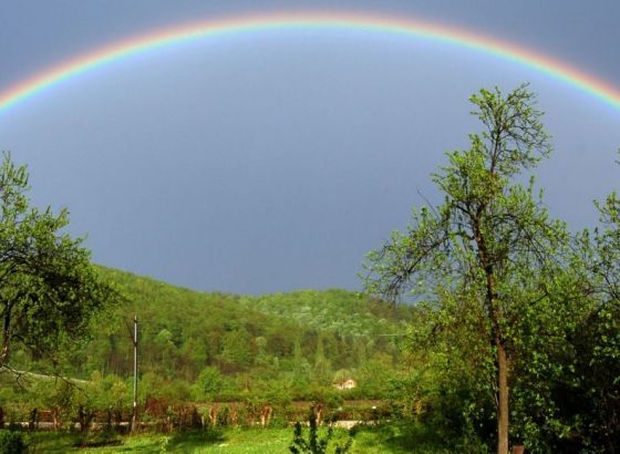 Banja Luka priprema popis biljnih i životinjskih vrsta