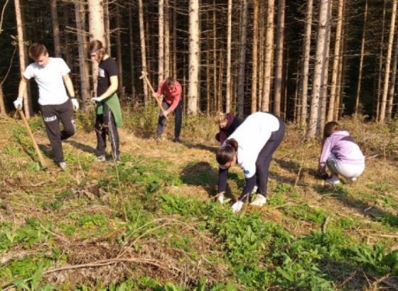 Adekvatnu zaštitu okoliša otežavaju podijeljene nadležnosti u BiH