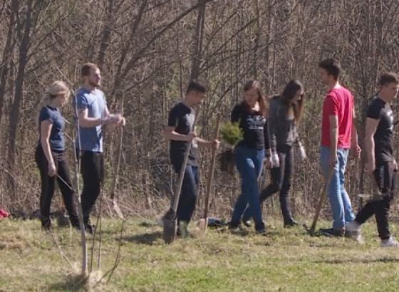 Stotinu sadnica u povodu Svjetskog dana šuma (VIDEO)