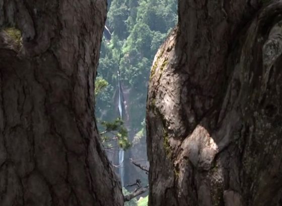 Promovisana fotomonografija "Prašume BiH"