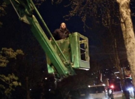 'Park' - Završeno orezivanje i oblikovanje krošnji 94 platana u Alipašinoj ulici