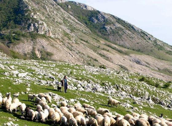 Udruga 'Naša baština' sanirala deponije građevinskog materijala u Tomislavgradu