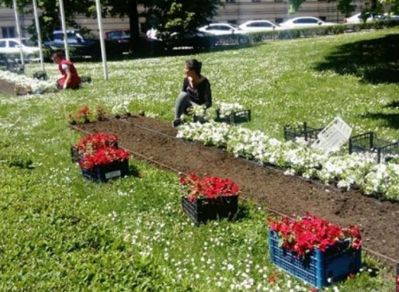 'Park' sezonskim cvijećem uređuje zelene površine u centru Sarajeva