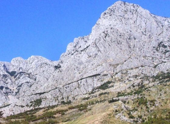 U potrazi za puževima pao sa stijene i poginuo