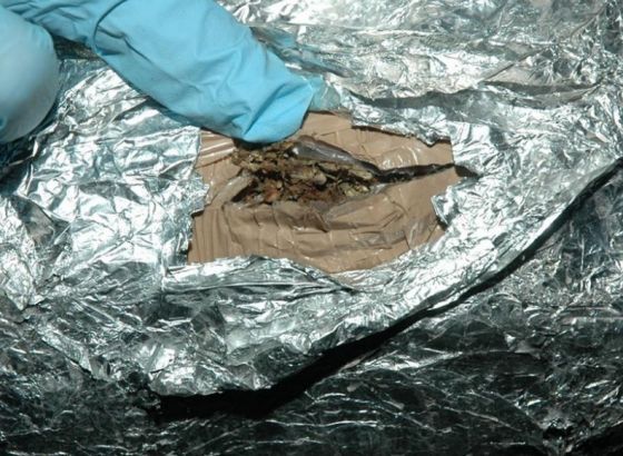 Državljanin BiH uhapšen na Badovincima sa 6 kilograma heroina