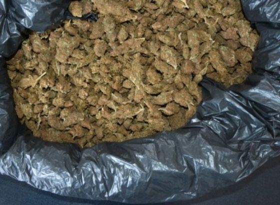 U Prijedoru pronađeno oko kilogram marihuane