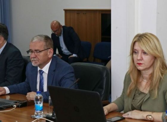 Utvrditi stanje lijeka za ptičju gripu tamiflu
