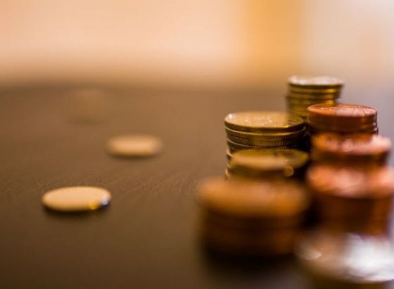 Vijeće nacionalnih manjina BiH traži isti iznos novca za finansiranje aktivnosti