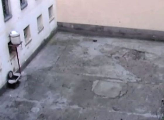 Vrijeme je za "Tijanin zakon" i u Federaciji BiH