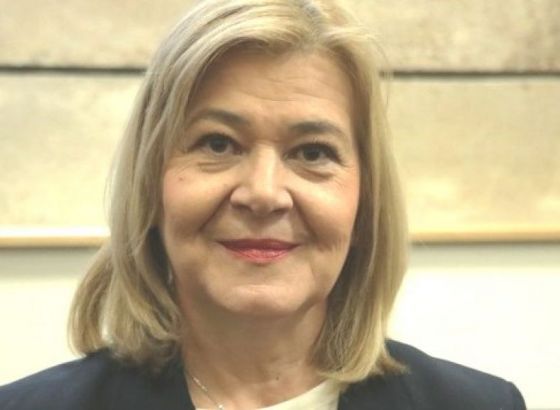 Milićević: Ne treba nam MMF