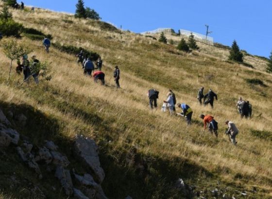 Na Jahorini u toku akcija pošumljavanja, bit će zasađeno 10.000 sadnica