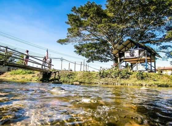 Predsjednik Austrije pokrenuo 'Inicijativu za povećanje klimatskih ambicija'