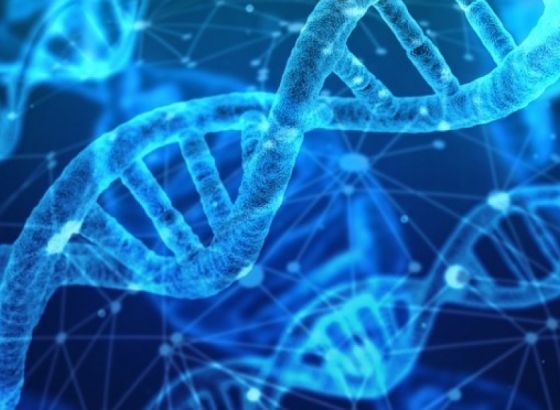 Otvoren prvi međunarodni Kongresa genetičara u BiH