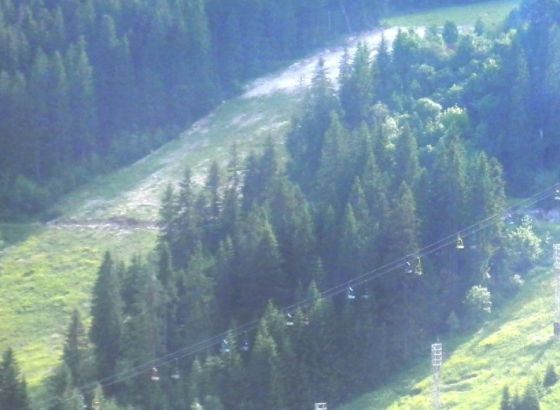 KUD 'Igman' Hadžići: Stotinu sadnica za ljepšu budućnost