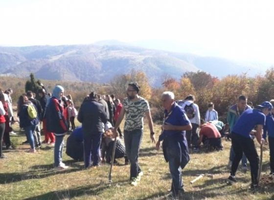 Zenički izviđači čistili i sadili "drveća prijateljstva" na Smetovima