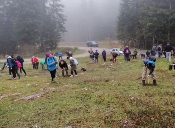 Na Igmanu akcija pošumljavanja '2019 sadnica za 2019. godinu'