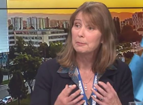 Kavalec: Bh. građani od političara očekuju rješavanje stvarnih problema