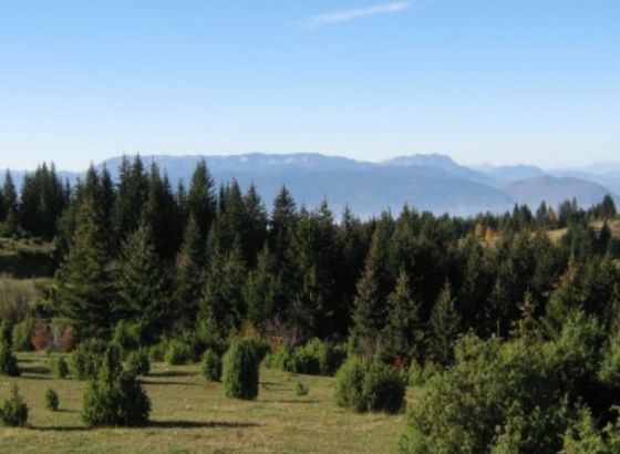 Počela ekološka kampanja "Pjevaju šume 2019"