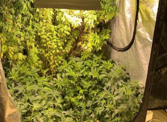 MUPKS-Pronađeno oružje i laboratorija za proizvodnju droge, uhapšene dvije osobe