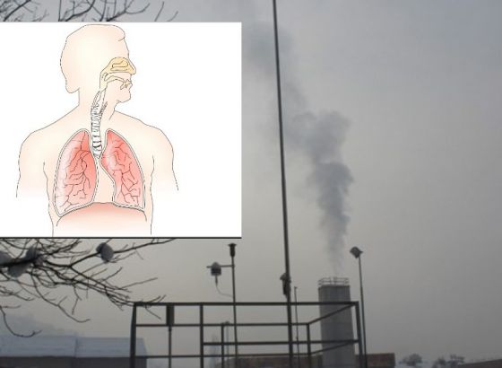 AKO NISTE ZNALI:  Smog  “guši” i D vitamin, zato je za naše zdravlje važno  unositi ga u neophodnim količinama