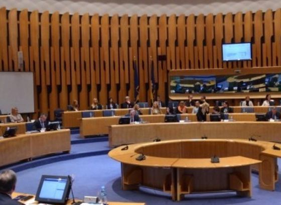 Bradara i Fazlić zamjenici predsjedavajuće Komisije za finansije DN PSBiH