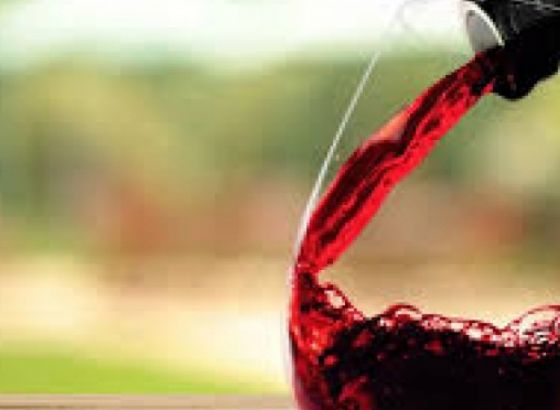 Oko 50 renomiranih domaćih i stranih vinarija na Sarajevo Wine Festu