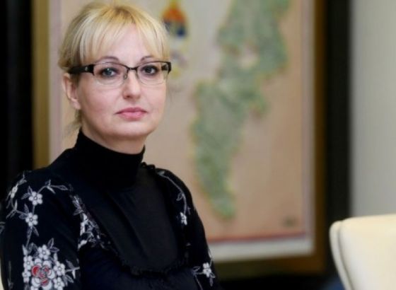 Predragović: Izvorna nadležnost BiH nije svojina, odnosno imovina